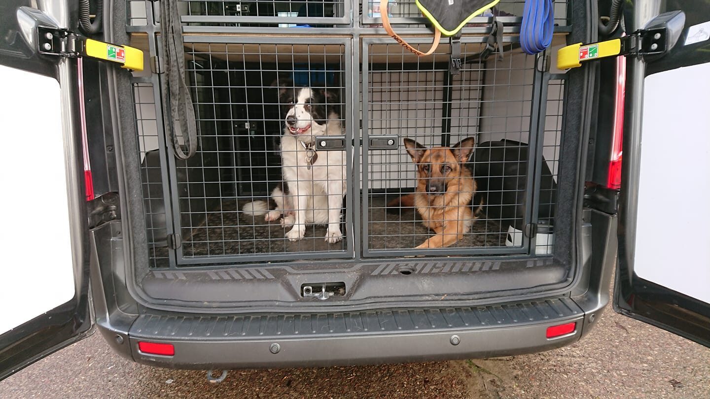 Adventure Dogs - Van Cages rear Door Access with dogs